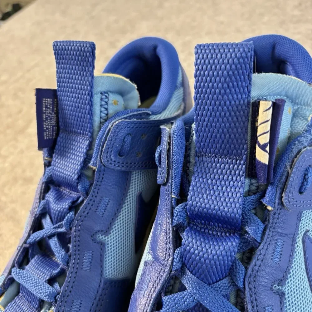 DV0821-400 - Mens 11 / Womens 12.5 Nike Air Dunk Low Jumbo Game Royal Remastered